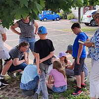 Start Lesesommer 2025